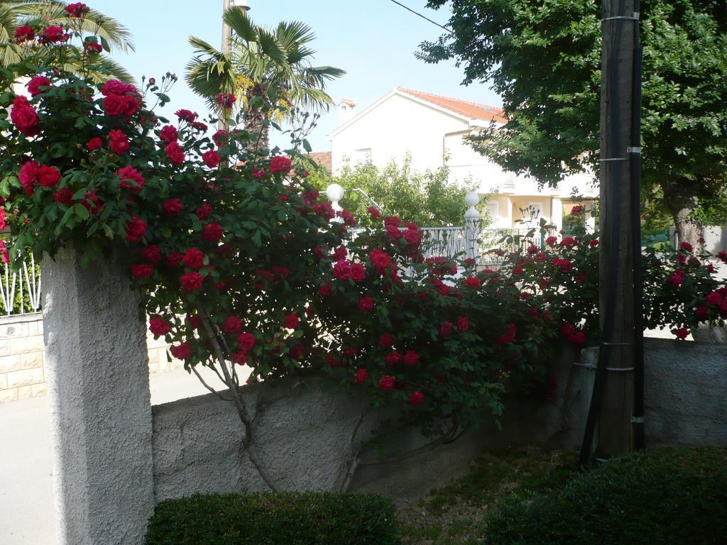 Rose Apartment Zadar Zimmer foto
